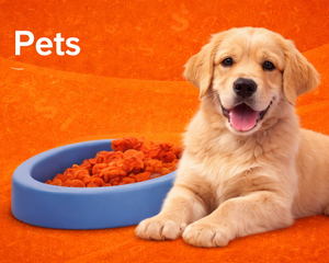 Collection image for: PERSONALIZE PET HARNESS