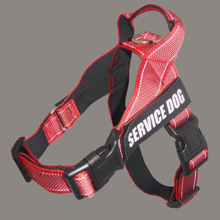 Personalize Pet Harness
