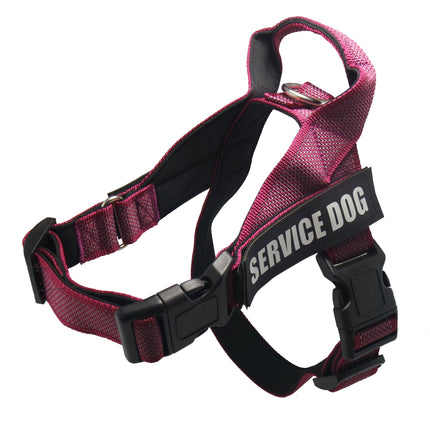 Personalize Pet Harness