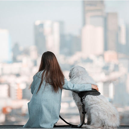 Explosion proof Chest harness pet leash