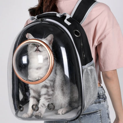 Going Out Cat Carrying Bag Supplies Box  School  Dog Backpack