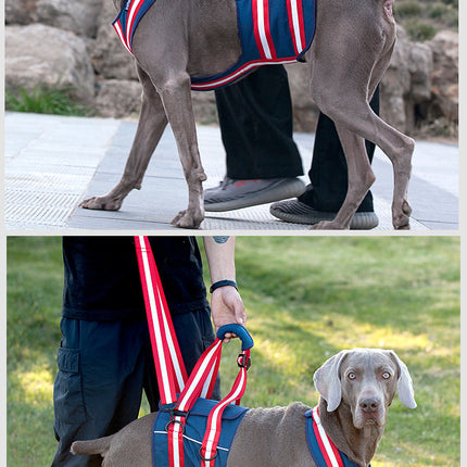 Pet Leash Harness For Elderly Dogs