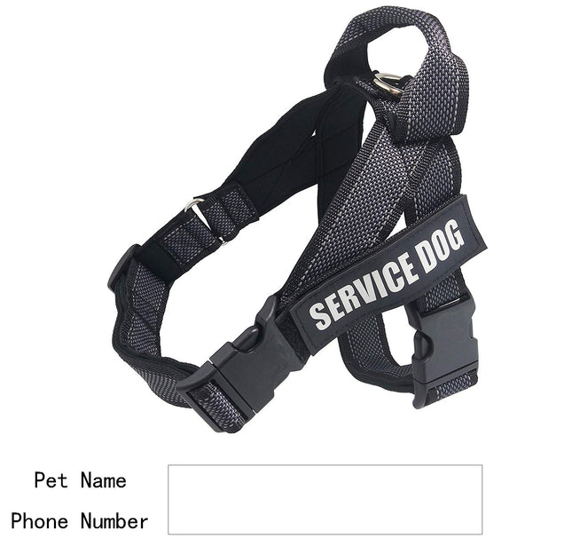 Personalize Pet Harness