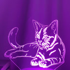 17style / Black seat touch