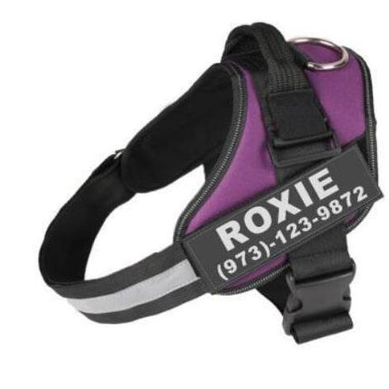 Personalized Custom Reflective Breathable Dog Harness NO PULL Adjustable Pet Harness For Small Large Dog Harness Vest With Patch