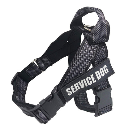Personalize Pet Harness