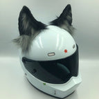 Black gray stereoscopic Wolf e / No helmet
