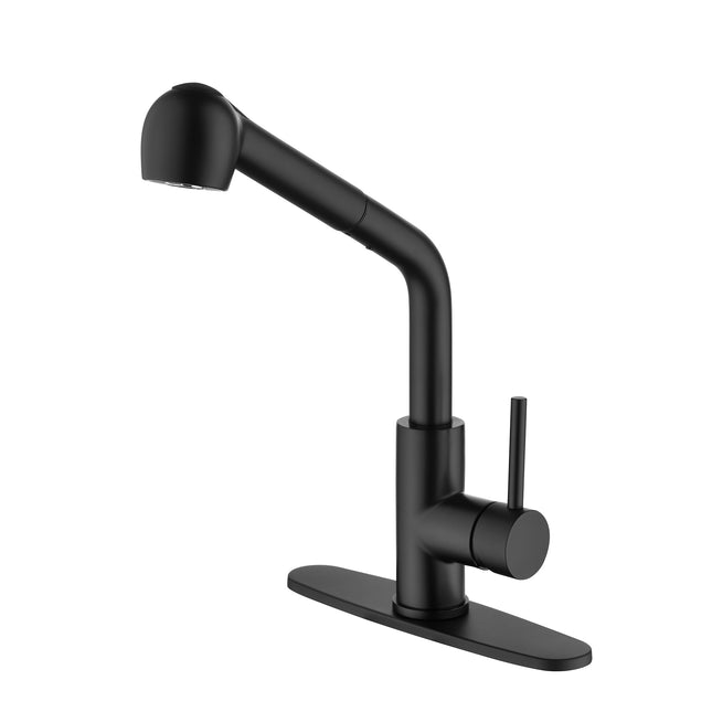 Stainless Steel Matte Black Single Handle Pull Out Spray, Kitchen Faucet