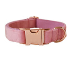 Dog Collar Rose Gold Buckle / S