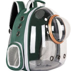 Dark green / Gold Circle Basics