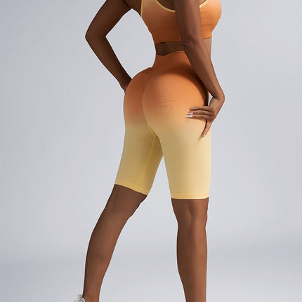 Workout Sets For Women 2 Piece Seamless Crop Tank High Waist Shorts Yoga Outfits,Workout Outfits For Women 2 Piece Seamless Sport Bra High Waist Yoga Leggings Sets