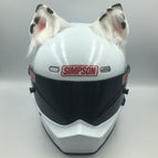 Baby pig tail / No helmet