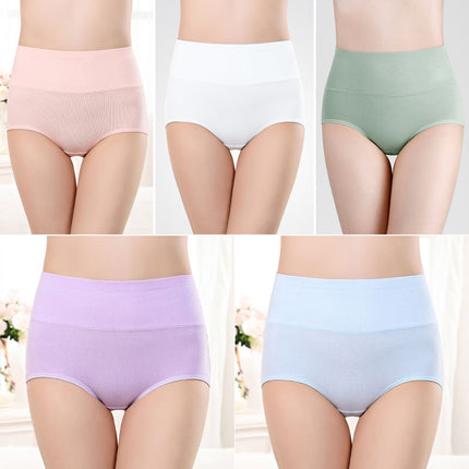 Women's Underwear High Waist Shaping Underwear Plus Size