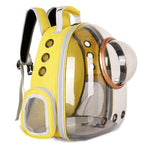 Yellow / Gold Circle Basics