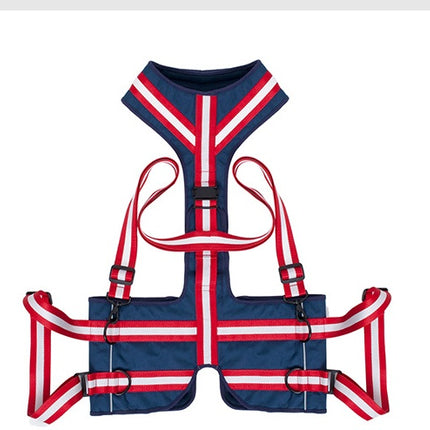 Pet Leash Harness For Elderly Dogs