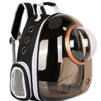 Brown / Gold Circle Basics