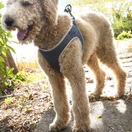 Dog Leash Vest Pet Harness Bullfight